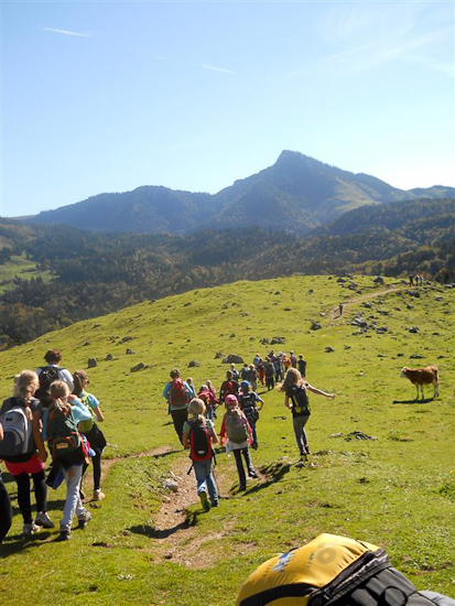 Wanderung auf den Heubergalmen