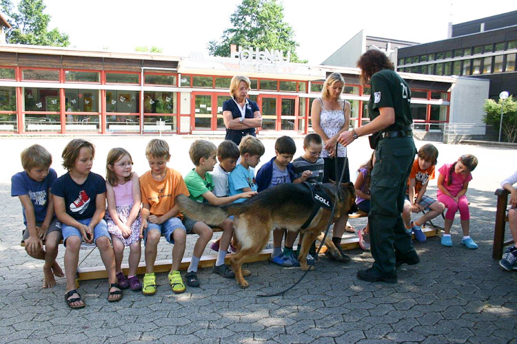 Der Zollhund beeindruckt die Schüler der HOHENAU-Schule