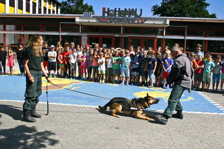 Der Zollhund beeindruckt die Schüler der HOHENAU-Schule