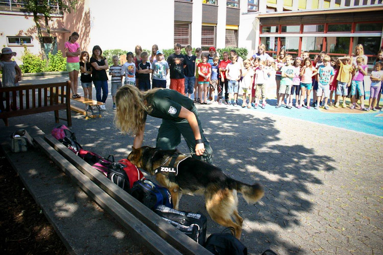 Der Zollhund beeindruckt die Schüler der HOHENAU-Schule