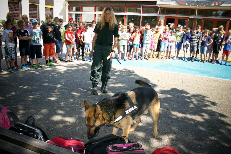 Der Zollhund beeindruckt die Schüler der HOHENAU-Schule