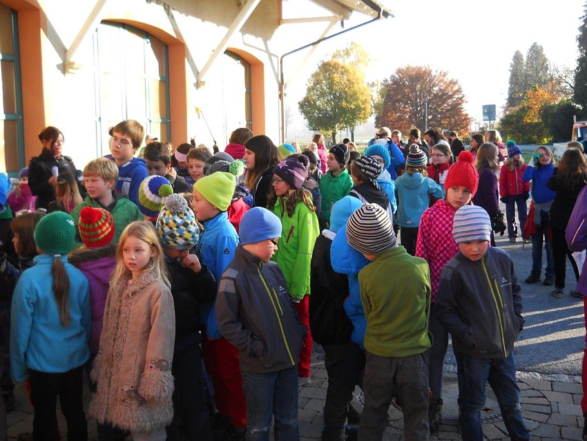 Aktion saubere Landschaft - Müllsammeln an HOHENAU-Schule