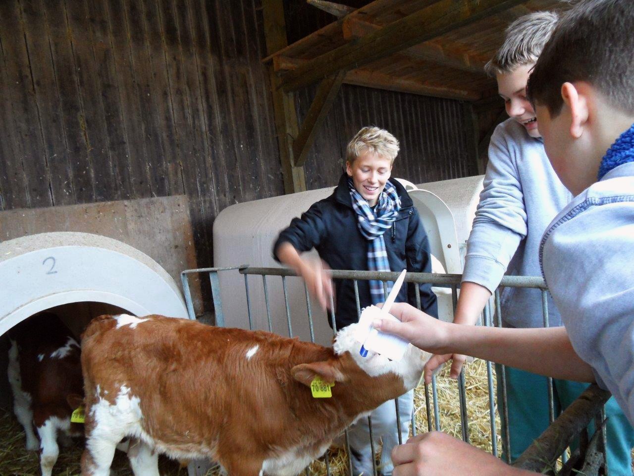 Besuch bei Landwirtsfamilie Strein