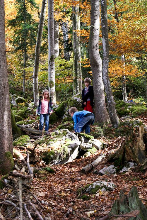 HOHENAU-Schule auf Walderkundung in Rettenschöss